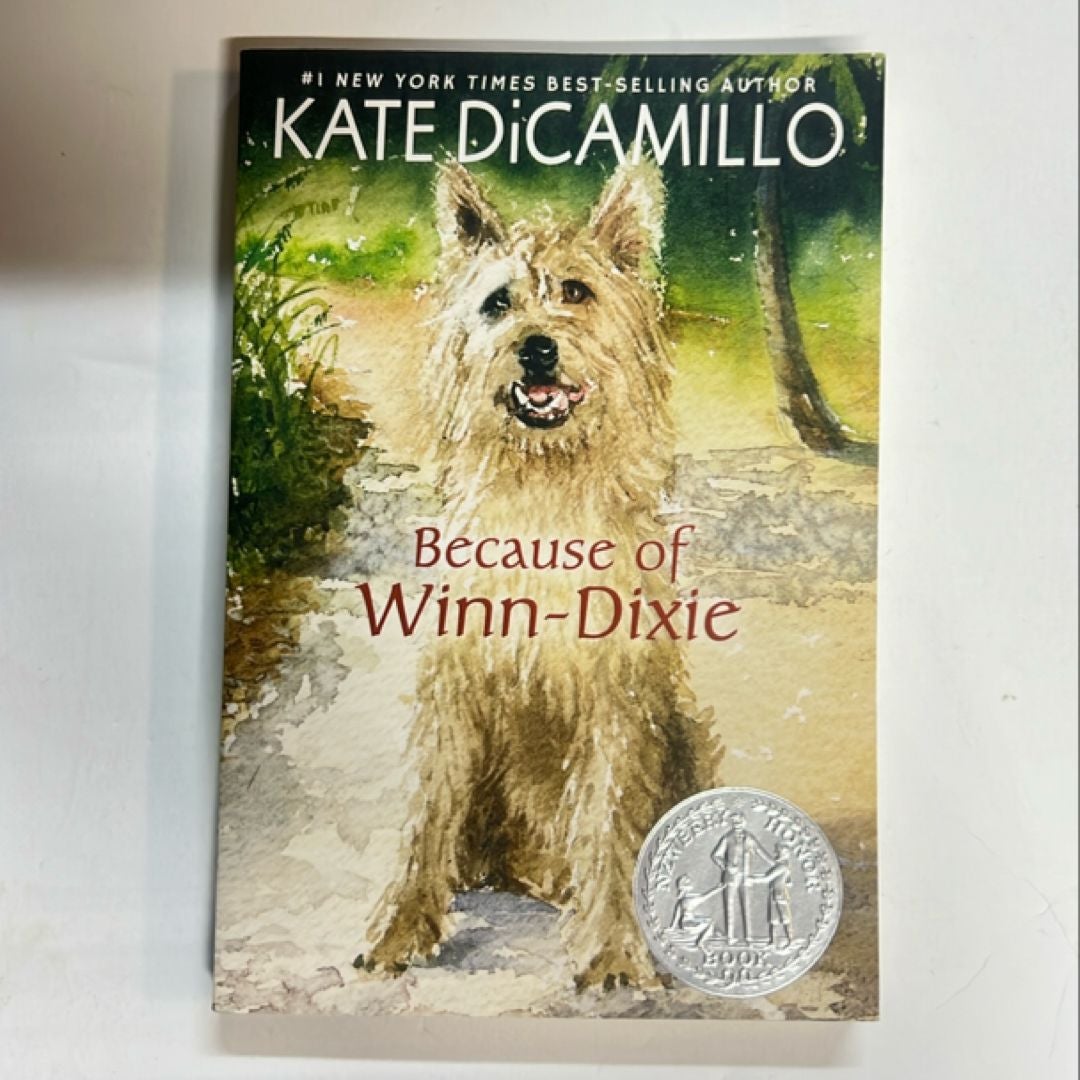 Because of Winn-Dixie