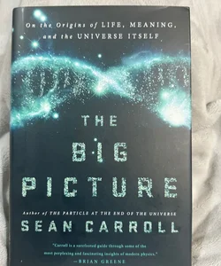 NEW! The Big Picture