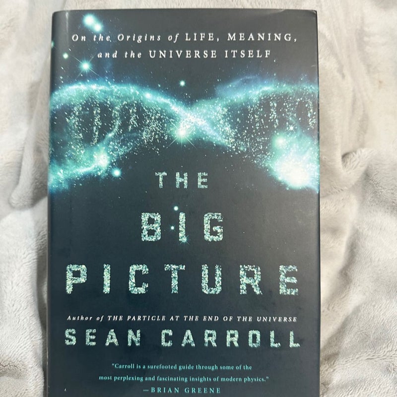 NEW! The Big Picture