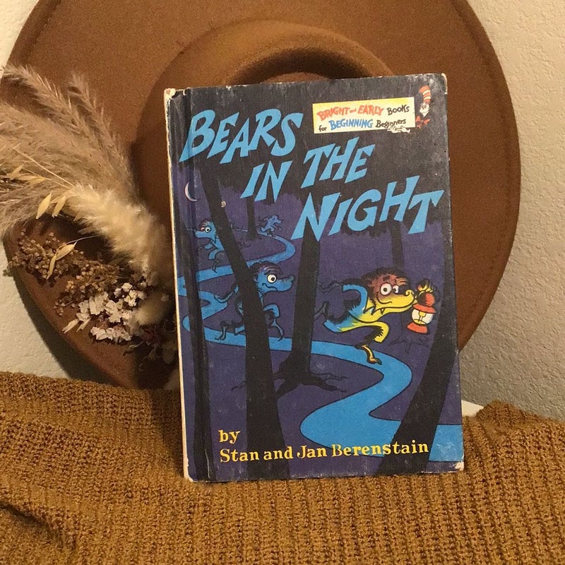 Bears In the Night 