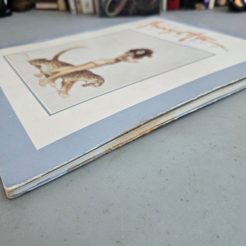 The Frank Frazetta Pillow Book