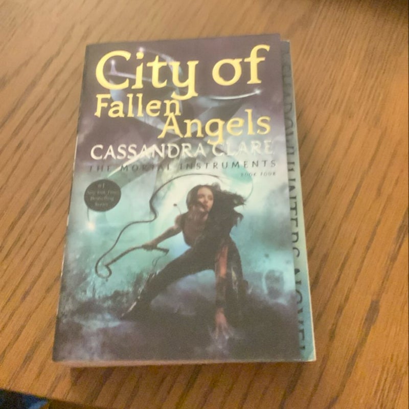 City of Fallen Angels