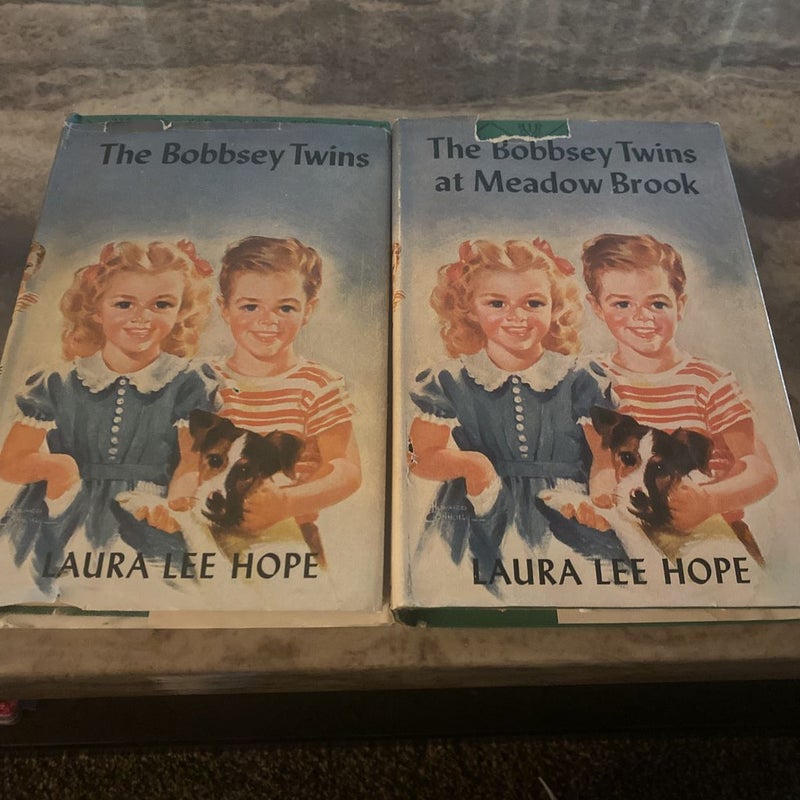 The Bobbsey Twins and at Meadow Brook