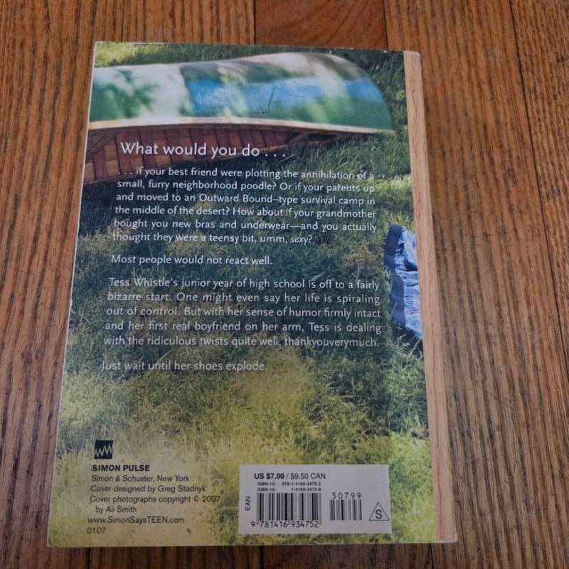 Lost It by Kristen Tracy, Paperback | Pangobooks