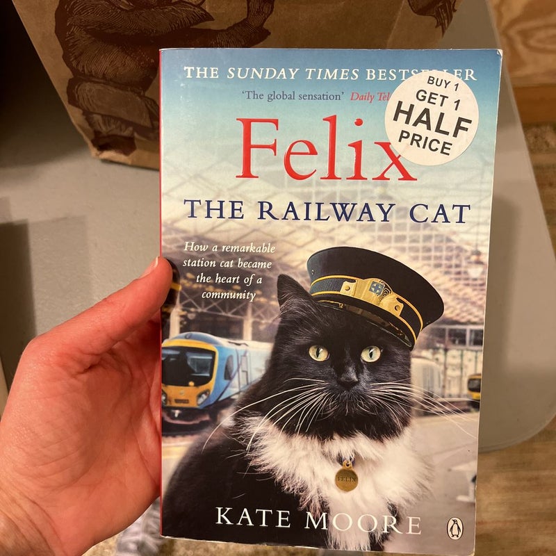 Felix the Railway Cat