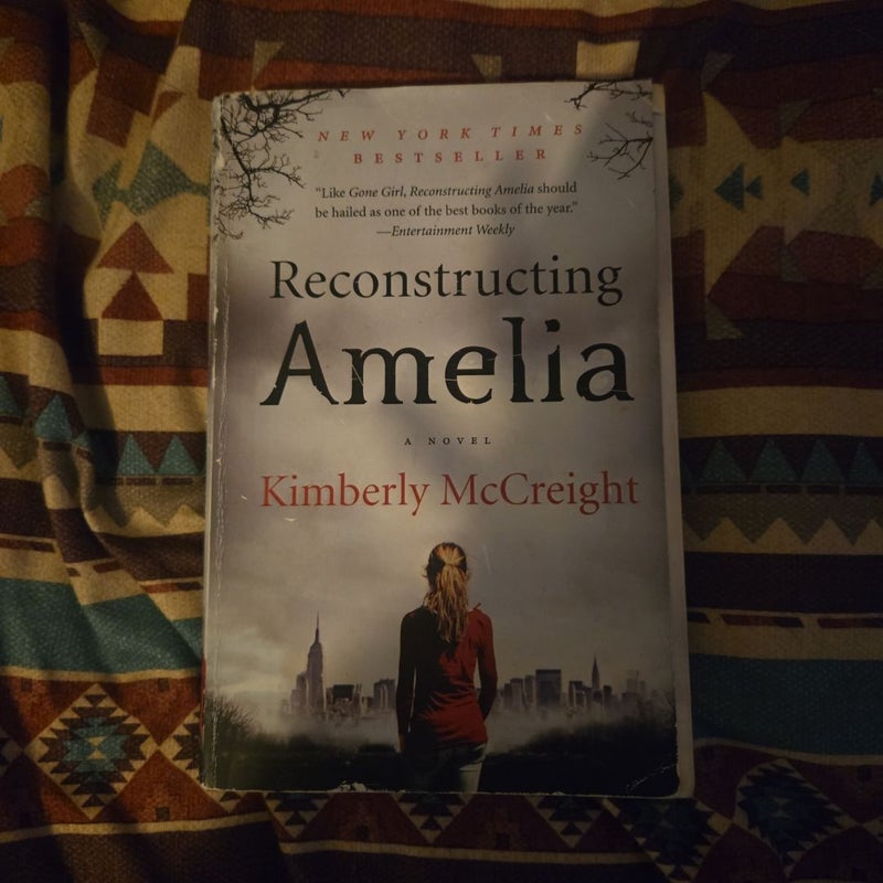 Reconstructing Amelia