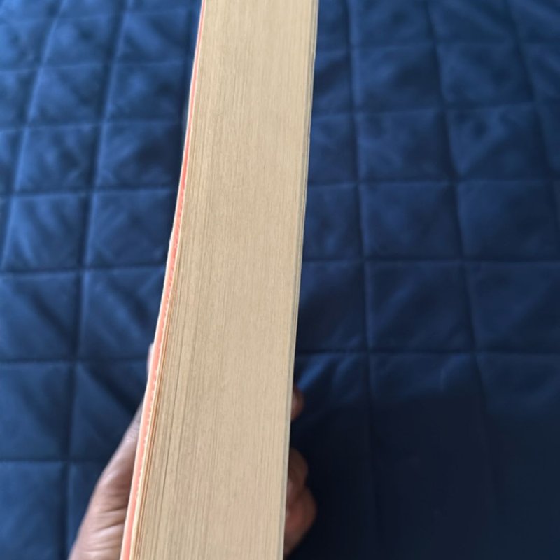 The Woman in the Window