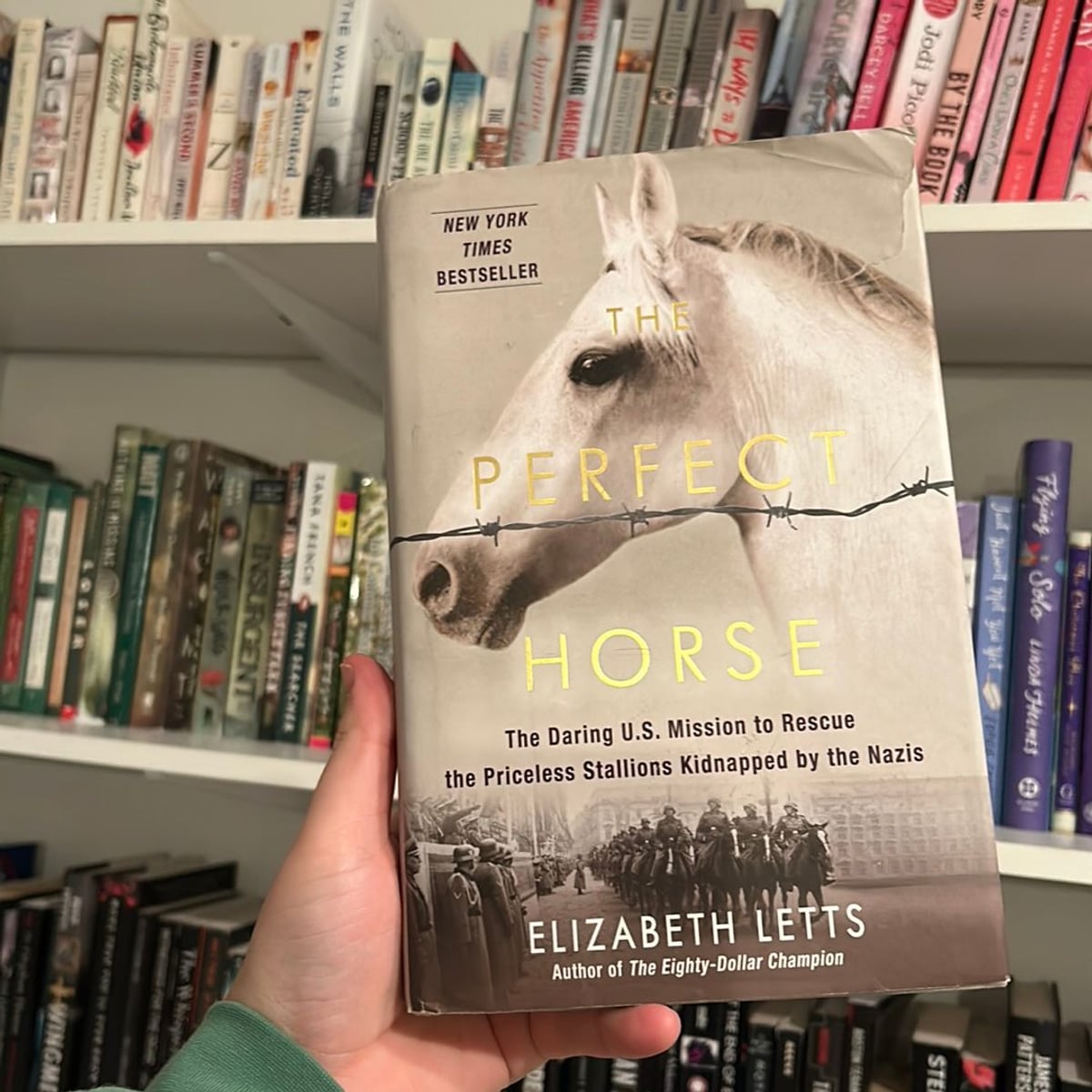 The Perfect Horse by Elizabeth Letts