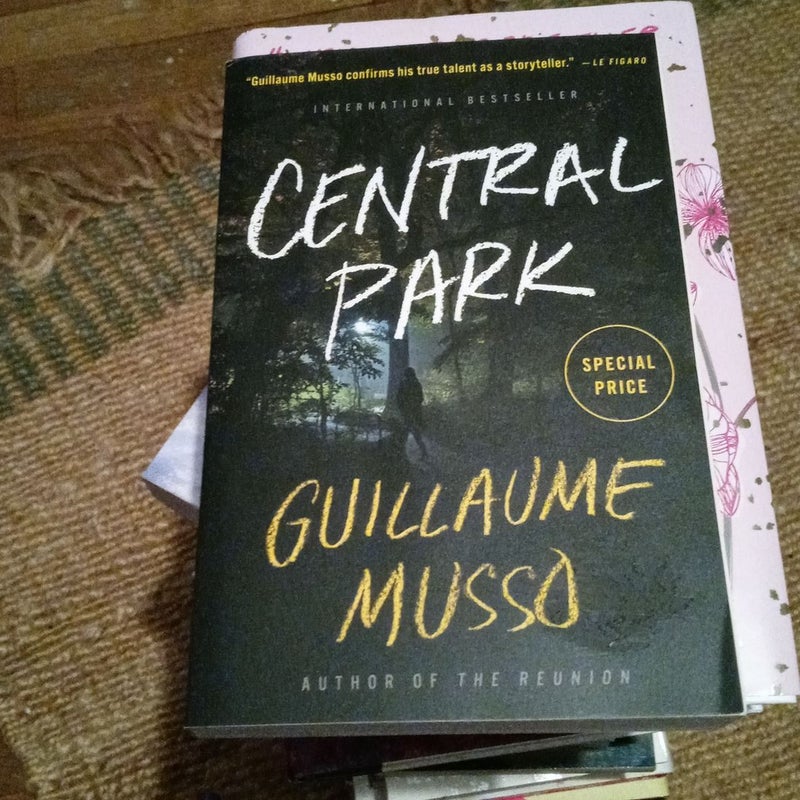 Central Park - by Guillaume Musso (Paperback)