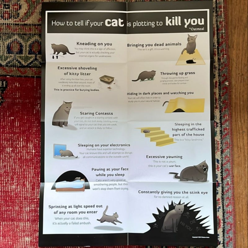 How to Tell If Your Cat Is Plotting to Kill You