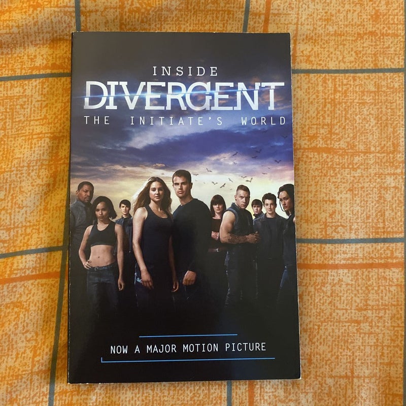 Inside Divergent: the Initiate's World