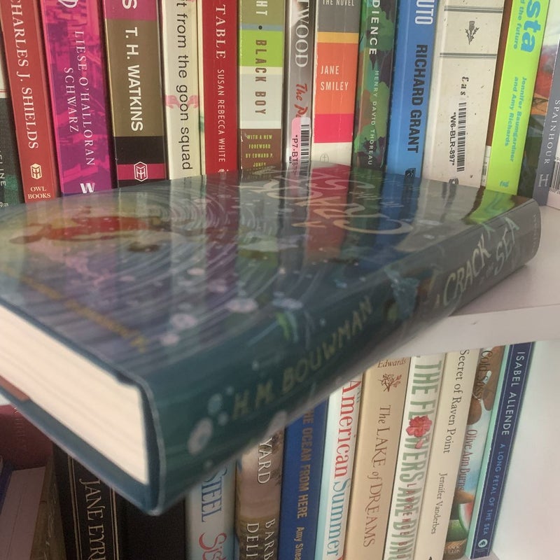 A Crack in the Sea by H. M. Bouwman