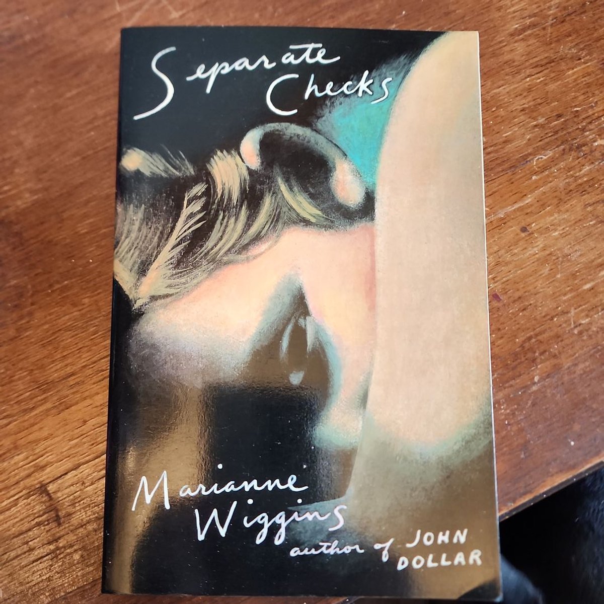 Separate Checks by Marianne Wiggins