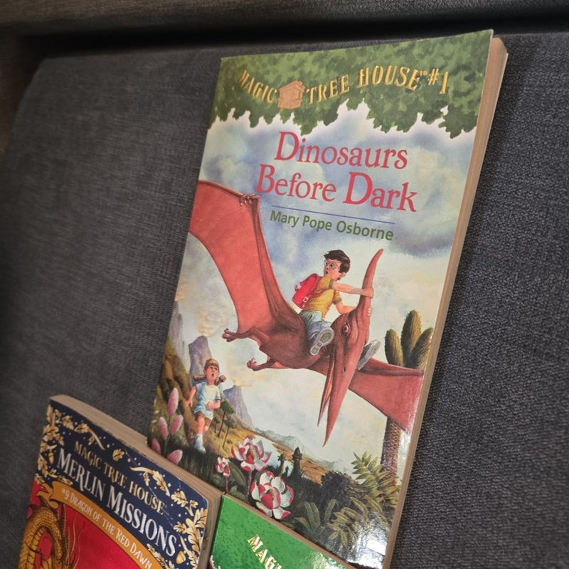 Magic Treehouse bundle 