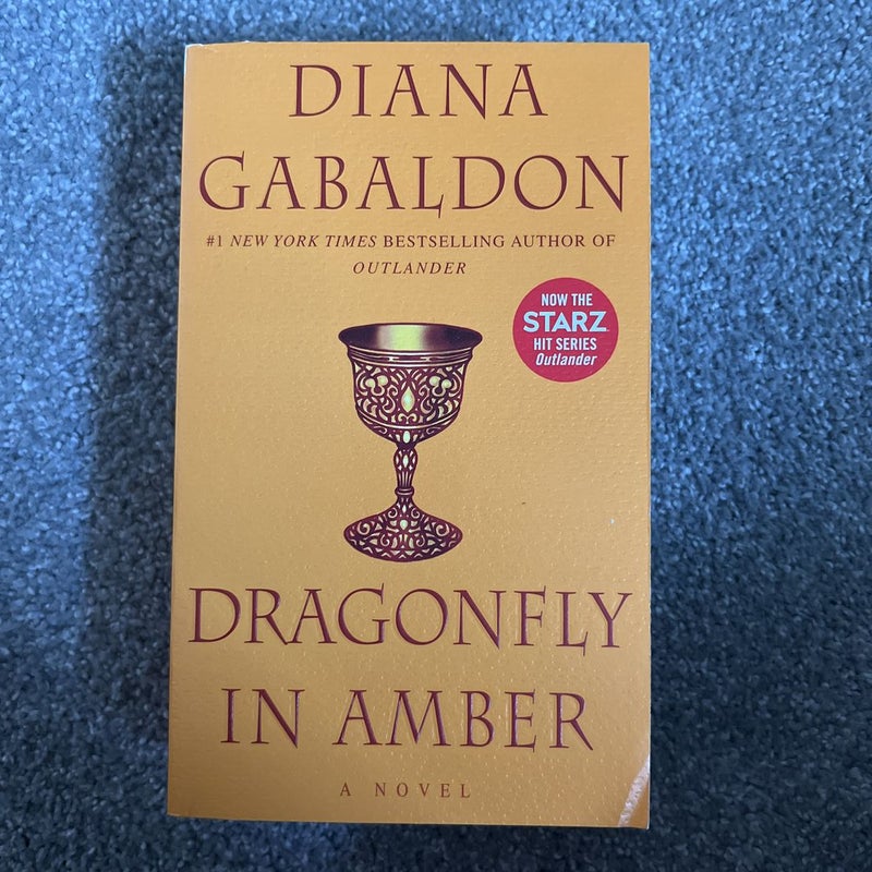 Dragonfly in Amber