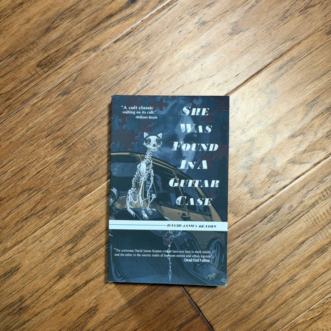 She Was Found in a Guitar Case