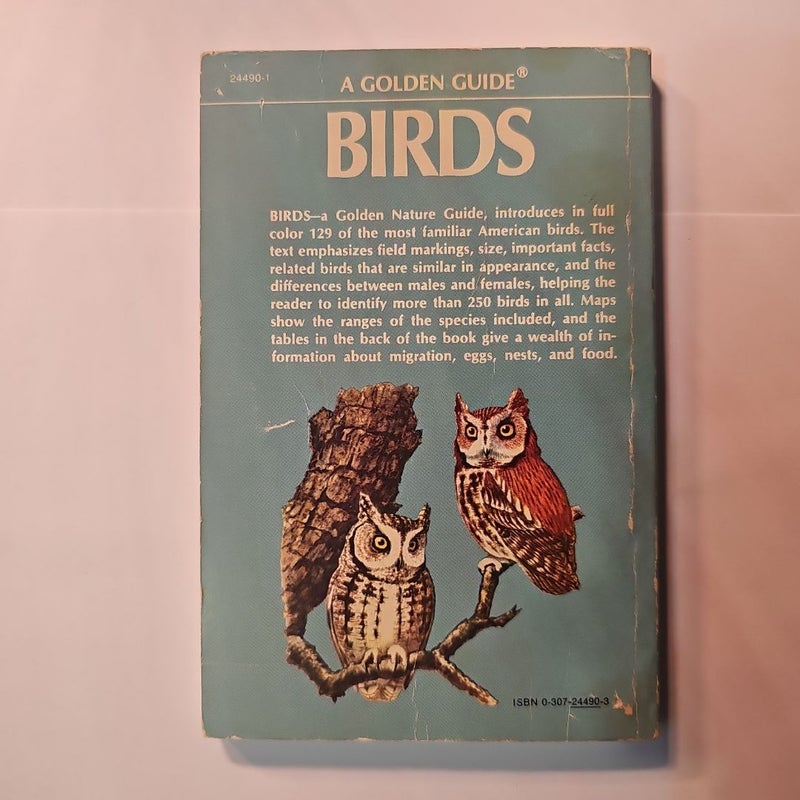 Birds