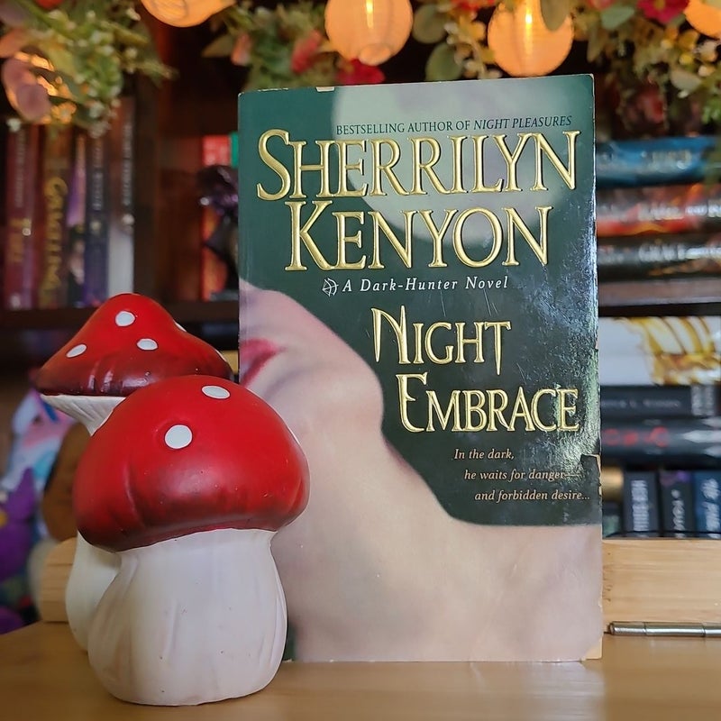 Night Embrace