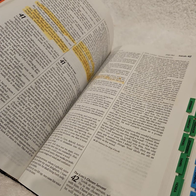 Holy Bible  People's Parallel Edition