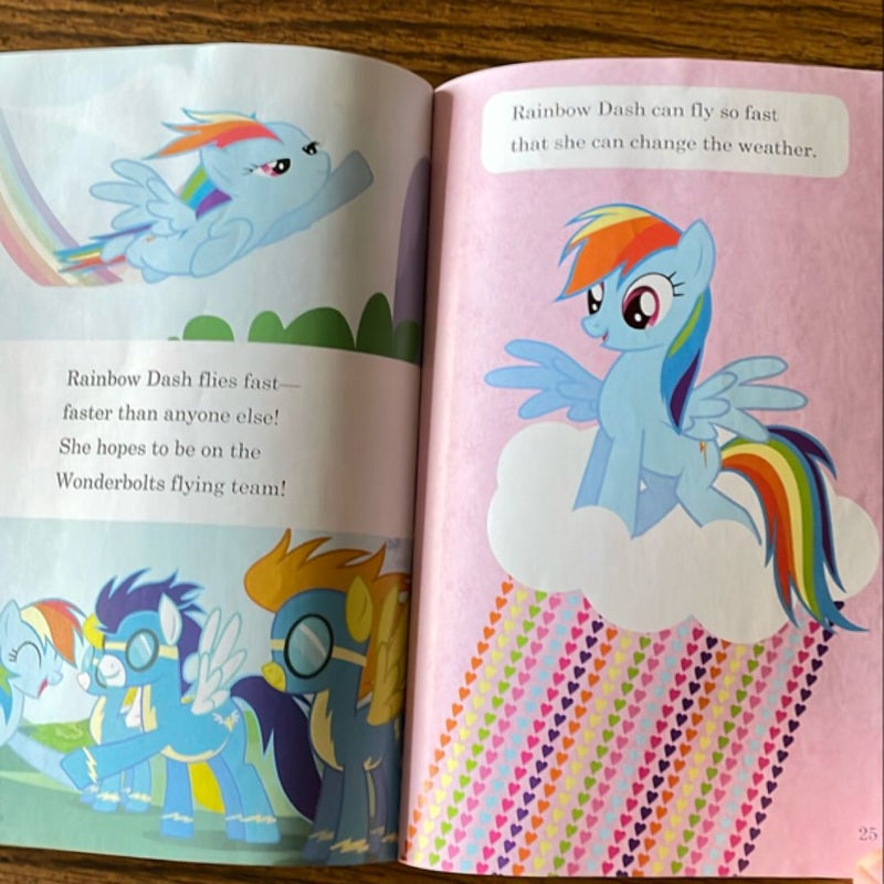 Bundle of 3:My Little Pony: Pony Life: Meet the Ponies; A Pony’s Tale; & Meet the Ponies of Ponyville