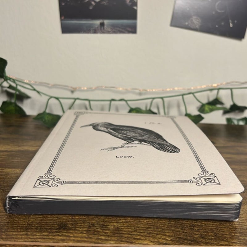 Crow Notebook