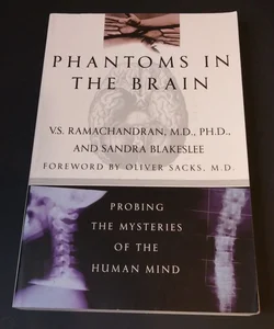 Phantoms in the Brain 