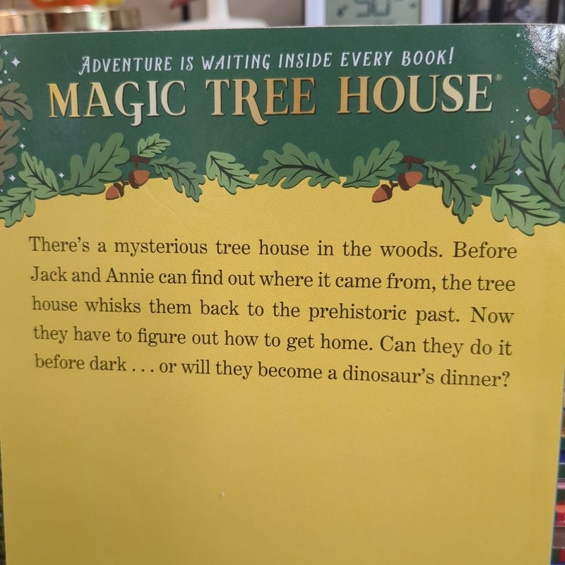 Magic Treehouse set (20 books) 