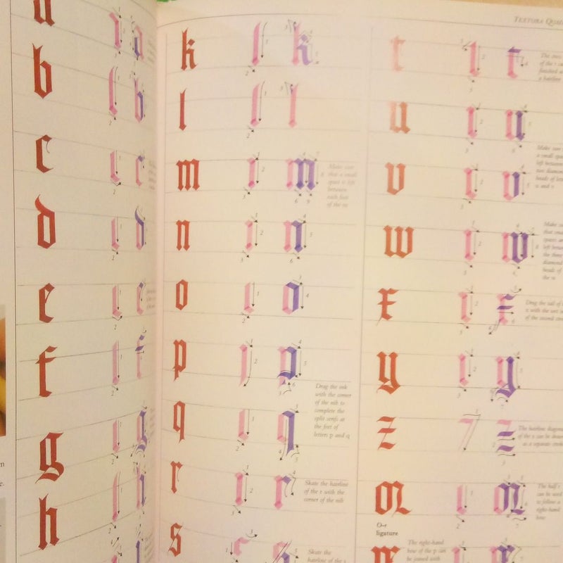 The Art of Calligraphy 