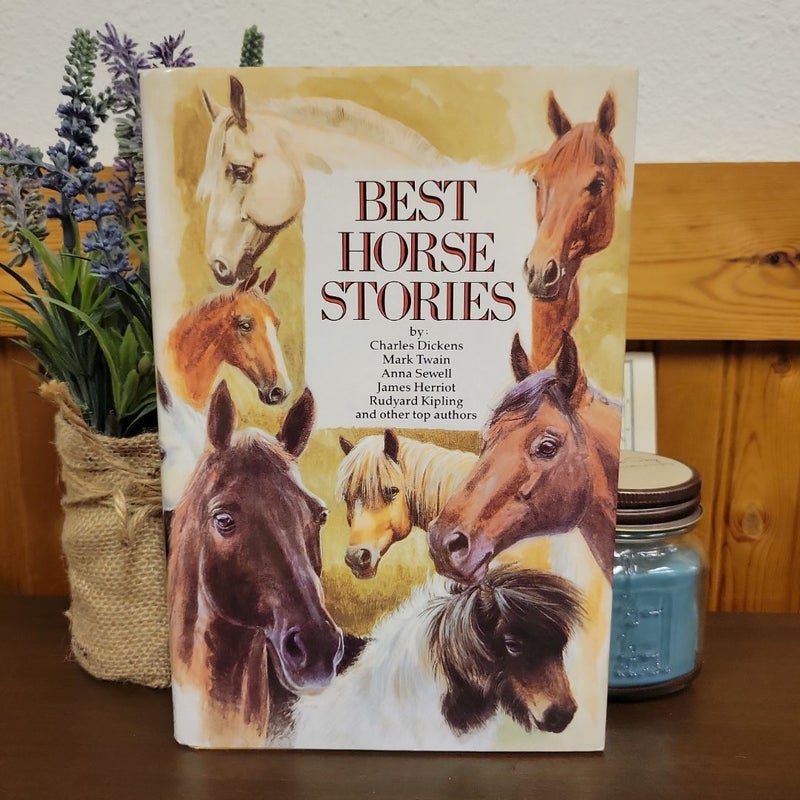 Best Horse Stories