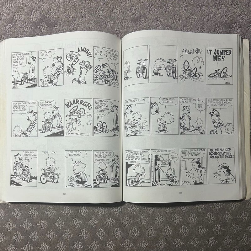 The Essential Calvin and Hobbes
