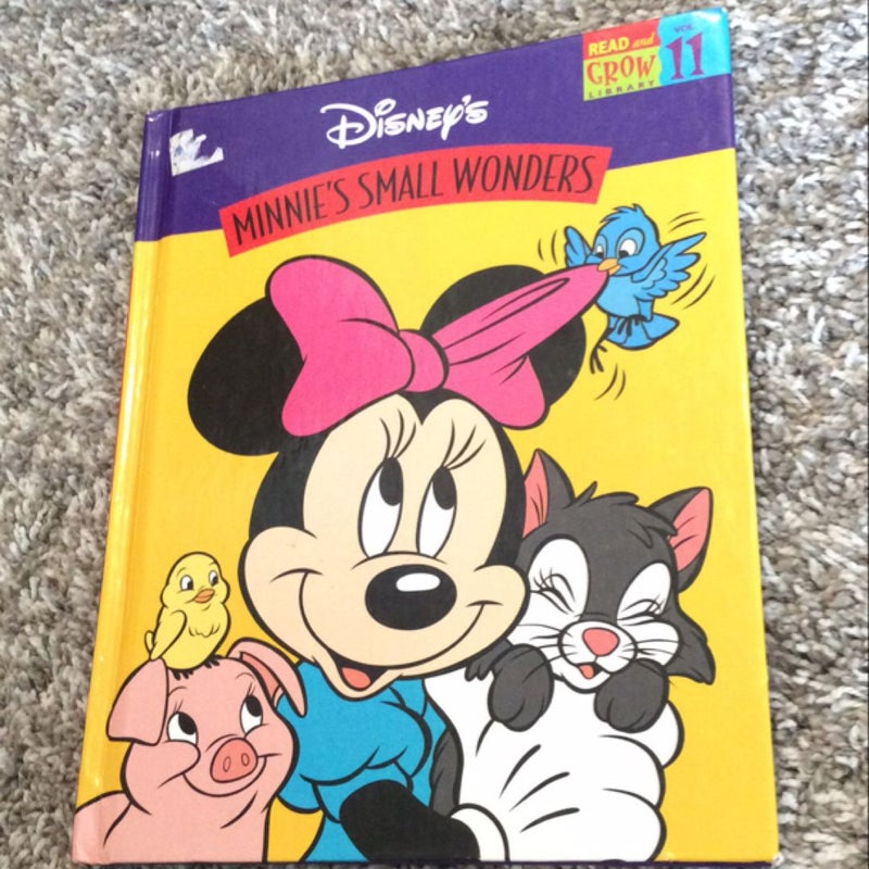 Minnie's Small Wonders