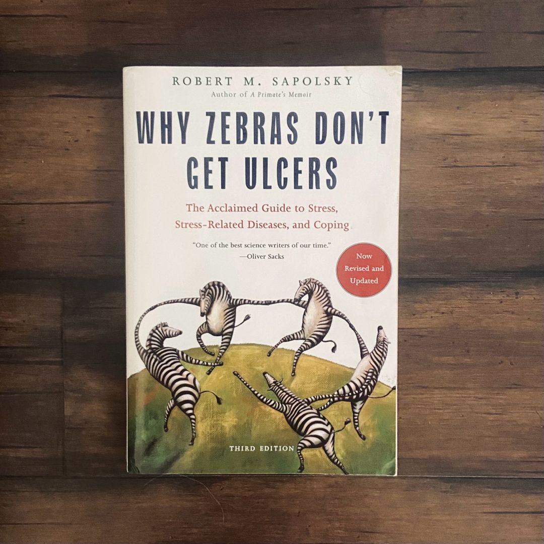 Sale image for 5ced1691-60f6-4d1b-84b4-989ebe9ea84d-yD0XiO0GoFRWgI0iZ9k7WRugWam1