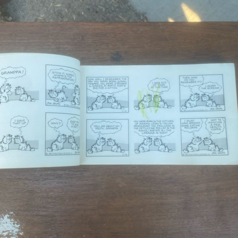Garfield takes the Cake