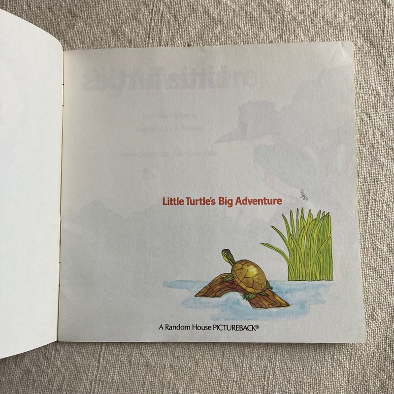 Little Turtle's Big Adventure
