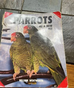 Parrots As a New Pet