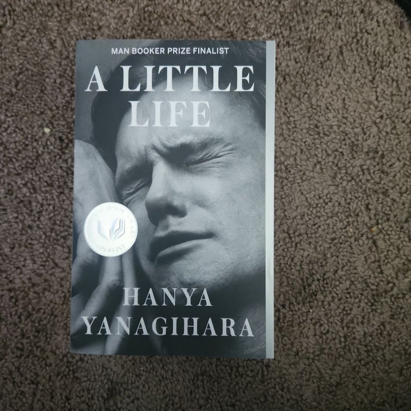 A Little Life
