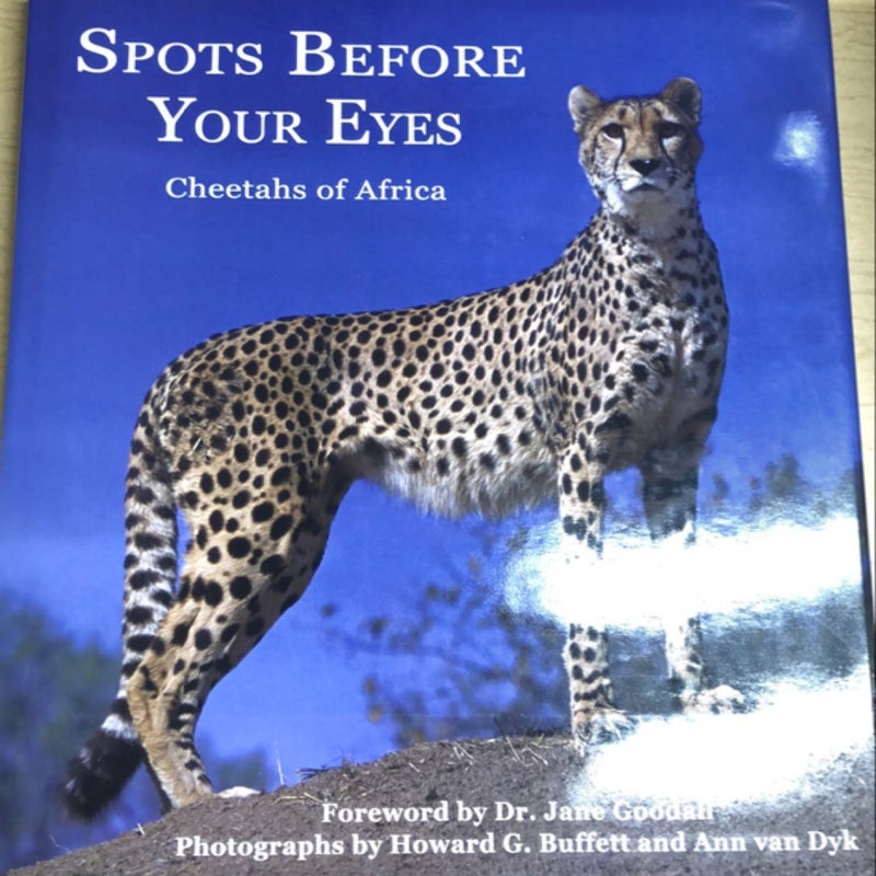 Spots Before Your Eyes