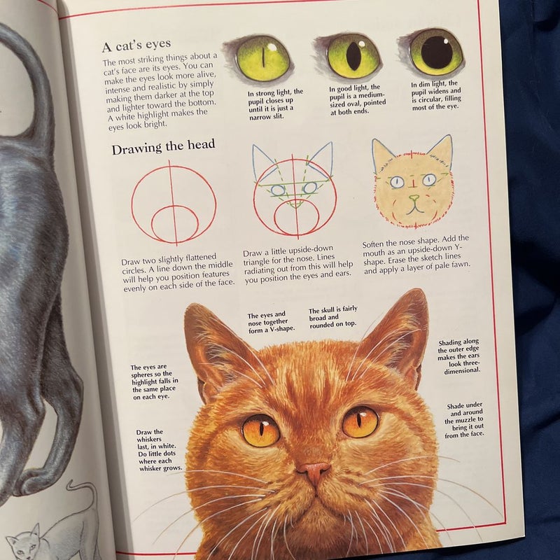 The Usborne Complete Book of Drawing