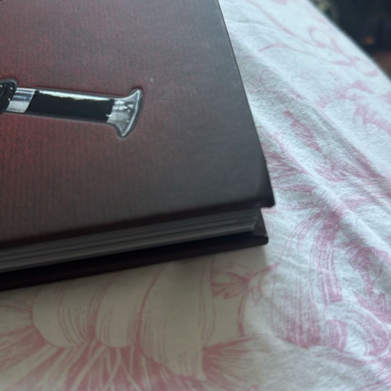 Harry Potter and Fantastic Beasts: the Wands of the Wizarding World