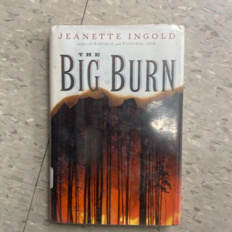The Big Burn