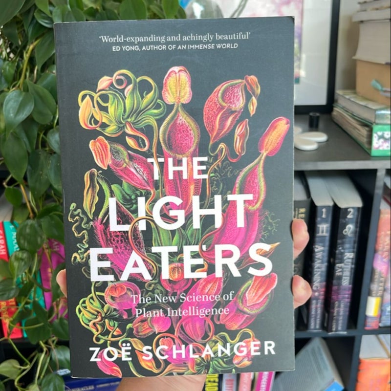 The Light Eaters