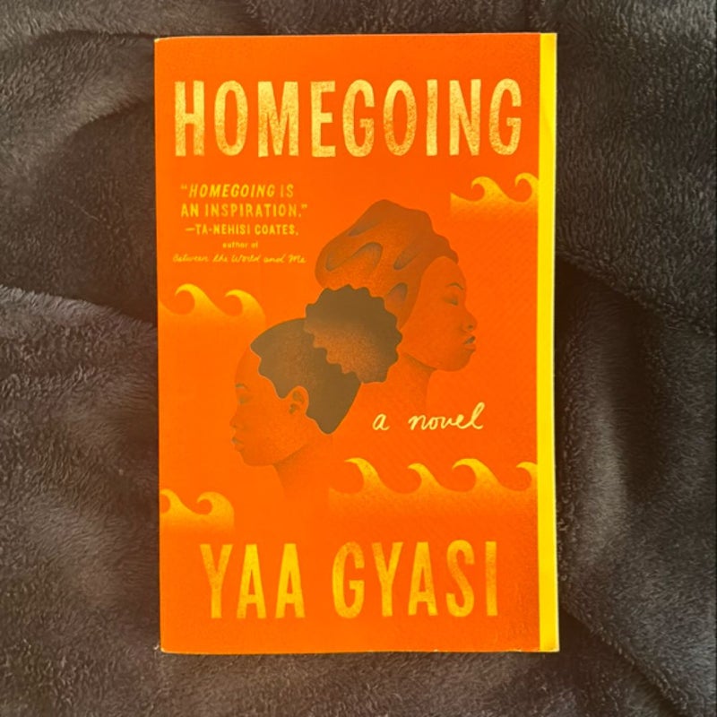 Homegoing