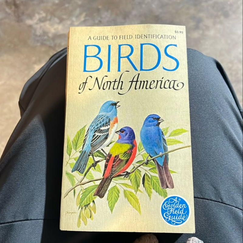 Birds of North America 