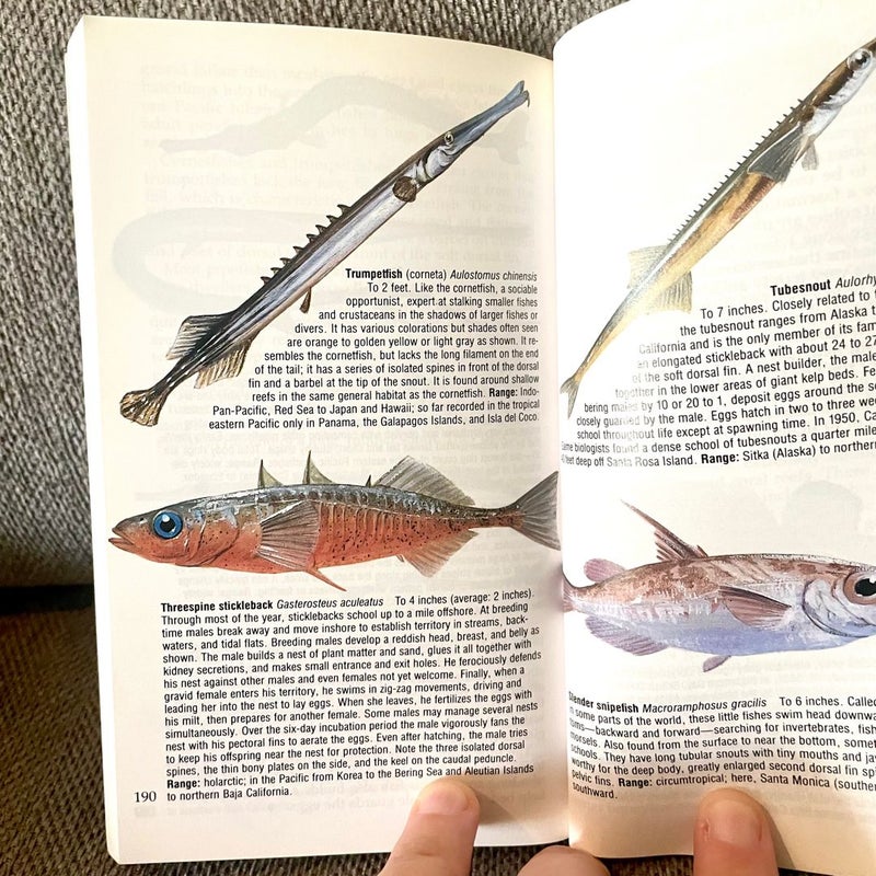 Fishes of the Pacific Coast