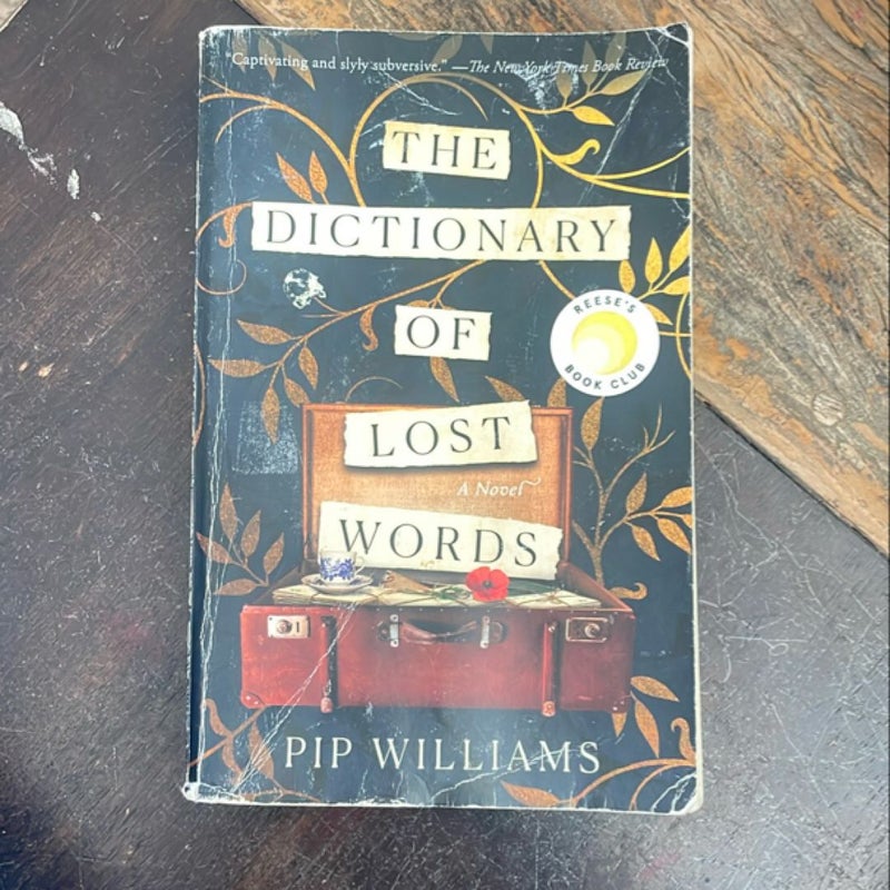 The Dictionary of Lost Words