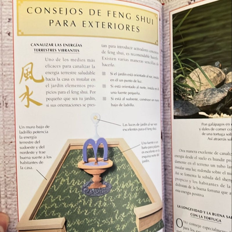 Los Fundamentos Del Feng Shui