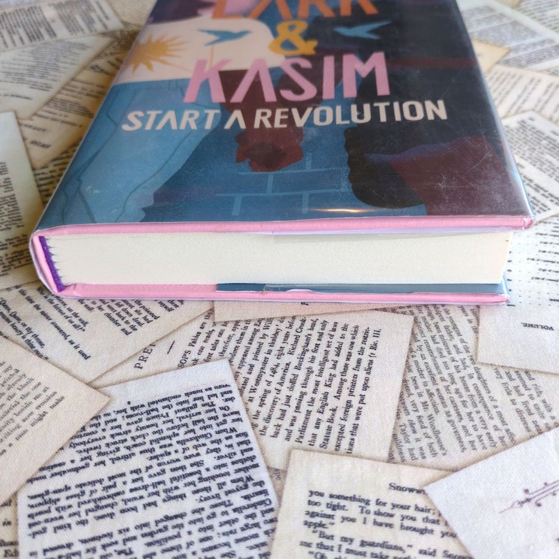 Lark and Kasim Start a Revolution
