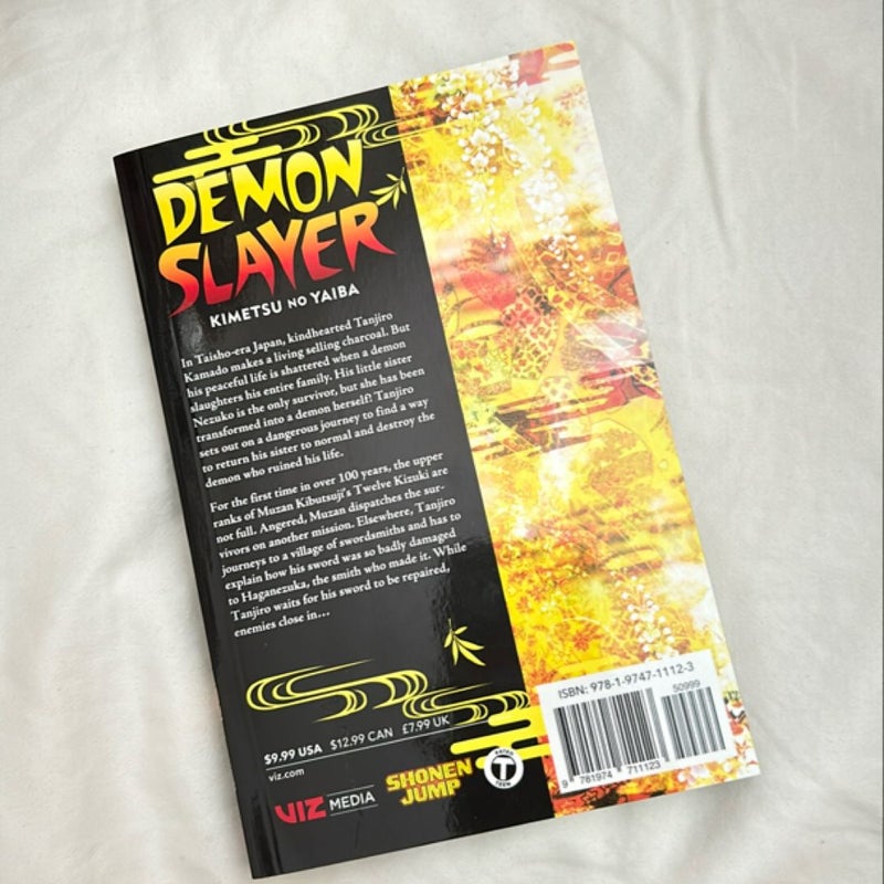 Demon Slayer: Kimetsu No Yaiba, Vol. 12