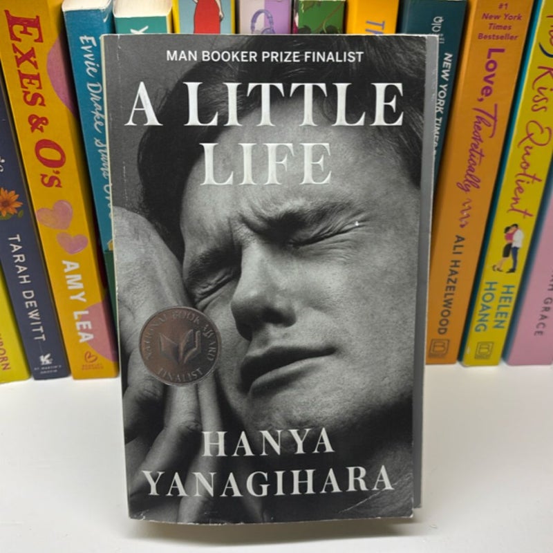 A Little Life
