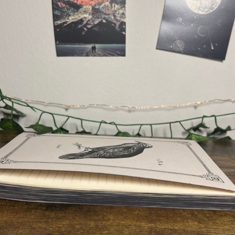 Crow Notebook